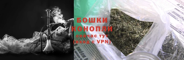 гидра Магас
